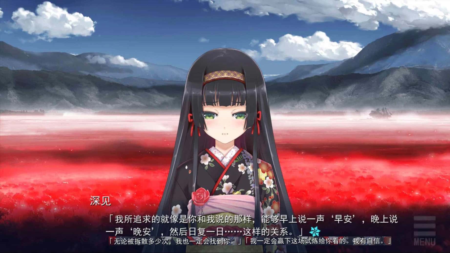 视觉数据4